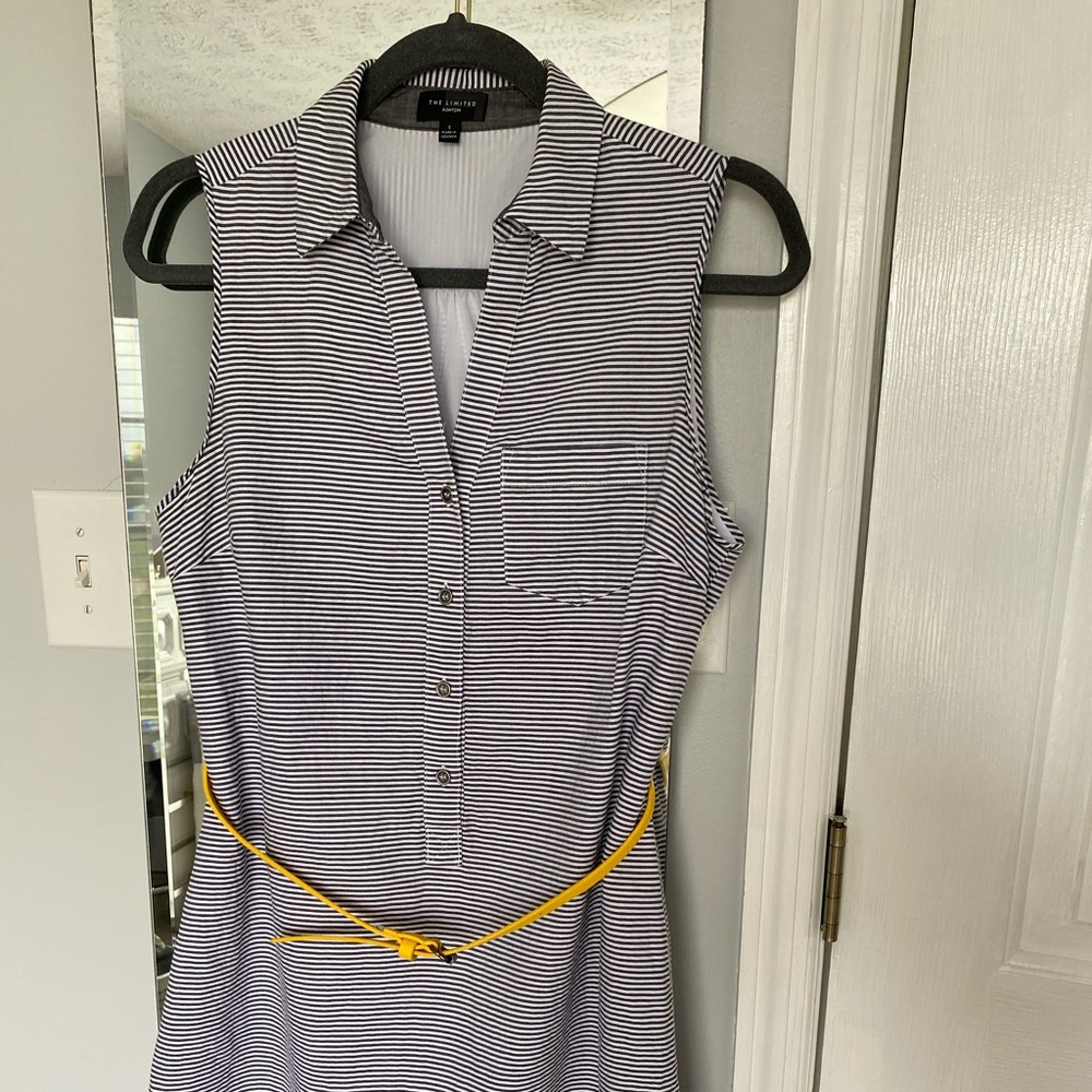 The Limited Ashton dress size 6